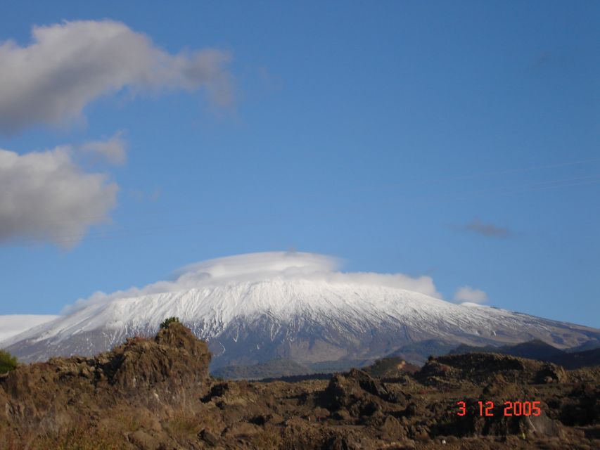 From Catania: Mount Etna Half-Day Tour and Wine Experience - Morning pickup from Catania