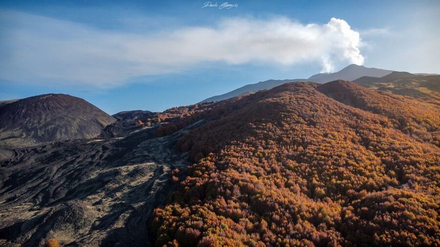 From Catania: Mt. Etna, Wine and Alcantara Tour - Key points to know before booking