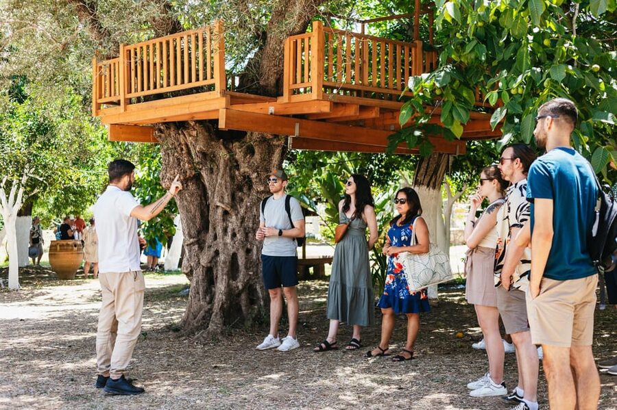 From Chania: Wine and Olive Oil Tasting Tour with Snacks - Key points at a glance