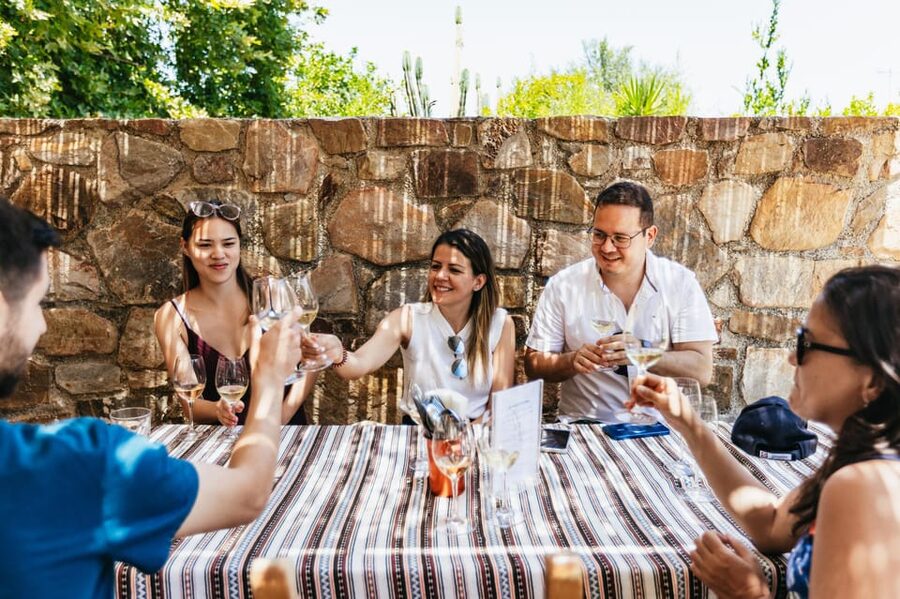 From Chania: Wine and Olive Oil Tasting Tour with Snacks - The first winery and Cretan grape varieties