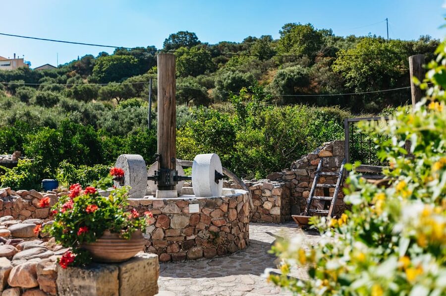 From Chania: Wine and Olive Oil Tasting Tour with Snacks - Who should book this experience?