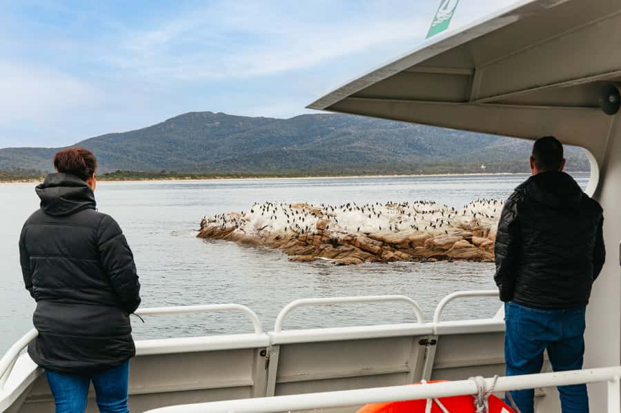 From Coles Bay: Wineglass Bay Cruise with Lunch - Should you book the Wineglass Bay Cruise?