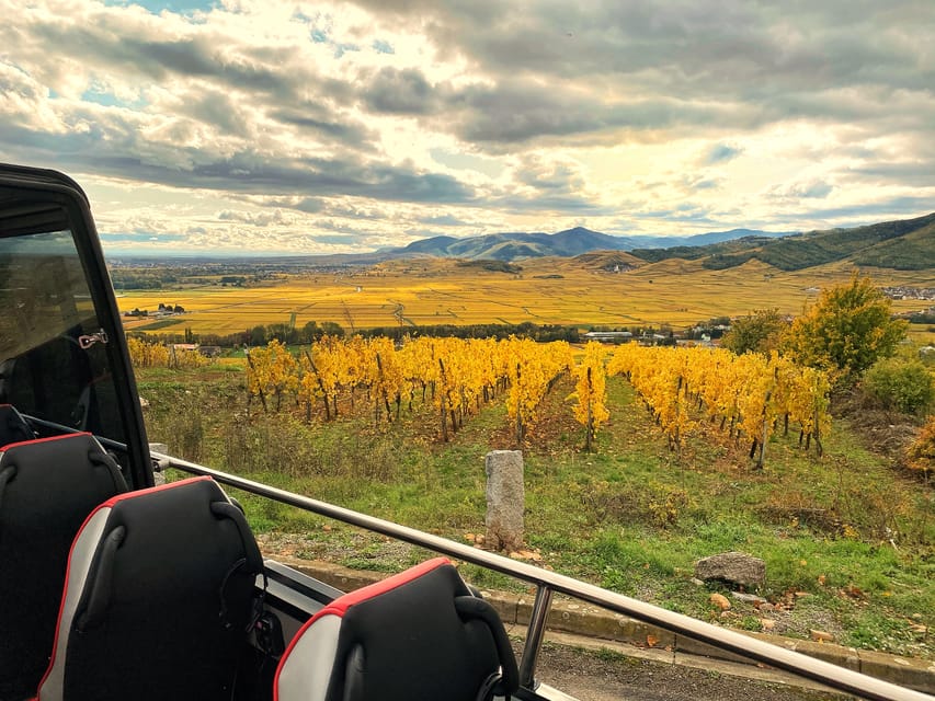 From Colmar: Alsace Medieval and Wine Tasting Day Tour - Wine tasting at the end of the road