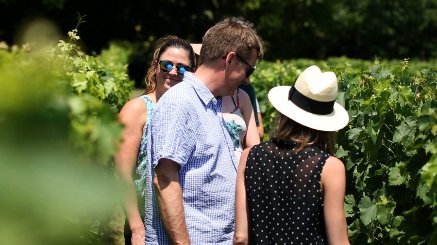 From: Dijon/Beaune: Burgundy Region Winery Tour with Lunch - Lunch with Burgundy on the plate