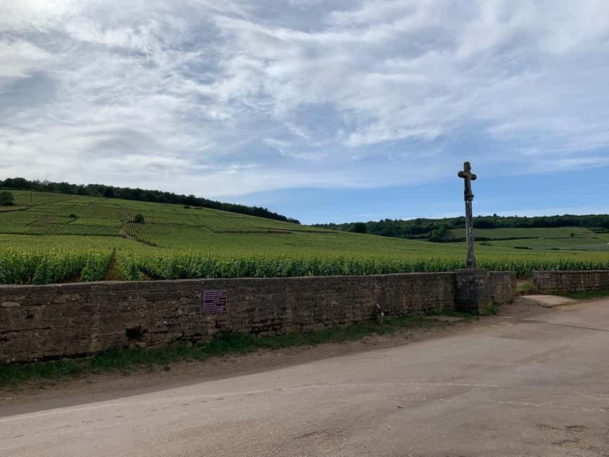 From: Dijon/Beaune: Burgundy Region Winery Tour with Lunch - The Route des Grands Crus