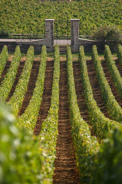 From: Dijon/Beaune: Burgundy Region Winery Tour with Lunch - A traditional village walk