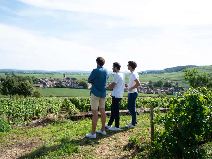 From: Dijon/Beaune: Burgundy Region Winery Tour with Lunch - The family-run winery tasting