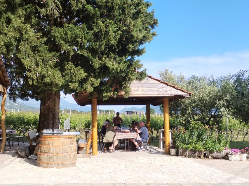 From Dubrovnik: Half-Day Wine Tasting and Cavtat City Tour - Practical tips for a smoother afternoon