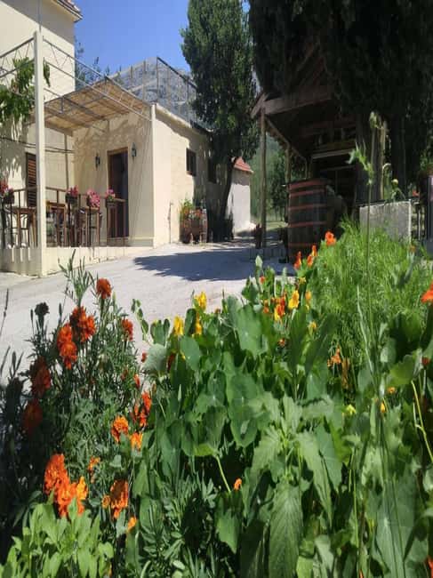 From Dubrovnik: Half-Day Wine Tasting and Cavtat City Tour - What you taste in Konavle Valley