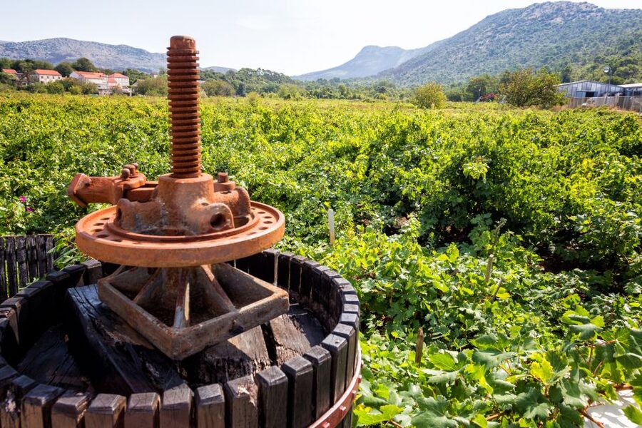 From Dubrovnik: Island of Korčula with wine tasting - Key details at a glance