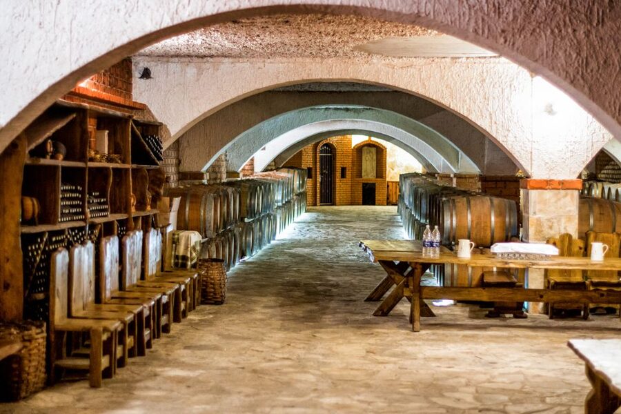 From Dubrovnik: Island of Korčula with wine tasting - Who should book this outing?