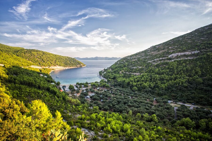 From Dubrovnik: Island of Korčula with wine tasting - Seafood, oysters, and the final stop