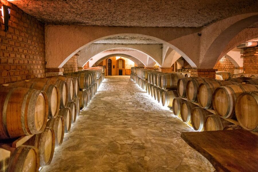 From Dubrovnik: Island of Korčula with wine tasting - Is $93 a fair price?