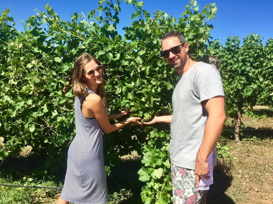 From Dunsborough/Busselton: Margaret River Wine Adventure - Ending at a local micro-brewery
