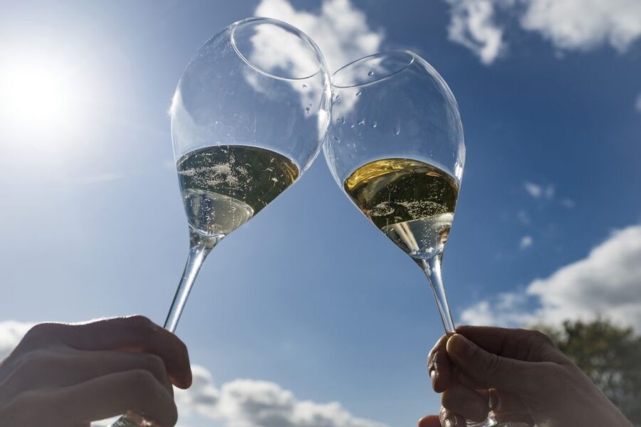 From Epernay : Bubble Champagne Tour 6 tastings - Key points at a glance