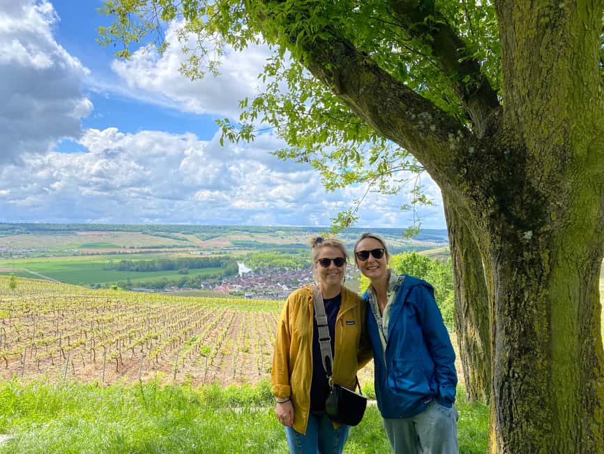 From Epernay : Bubble Champagne Tour 6 tastings - The family grower in Oger