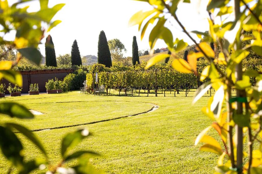 From Florence: Chianti Half-Day Wine Tour with Tasting - Tenuta Torciano and Tuscan products