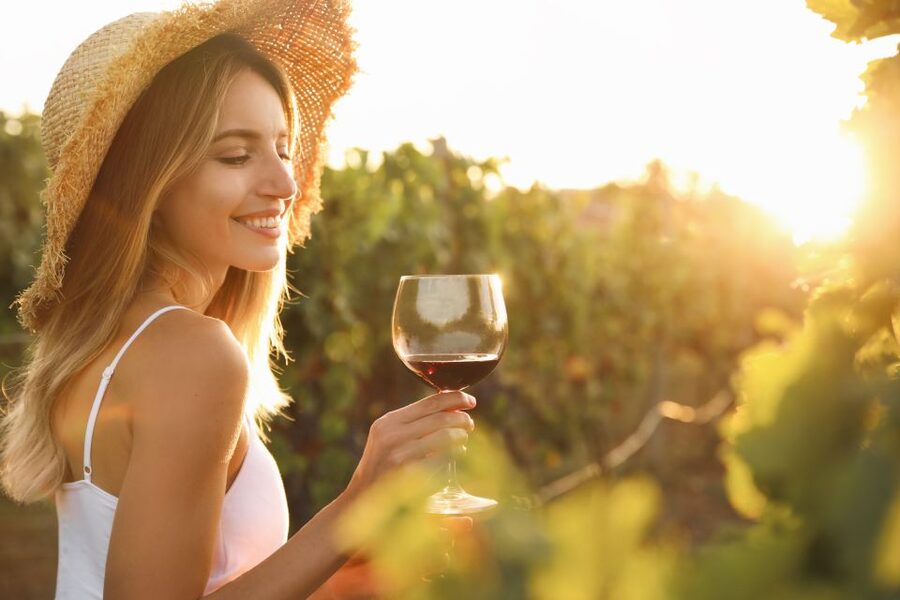 From Florence: Chianti Hills Half-Day Tour with Wine Tasting - The vinegar cellar and vin santo