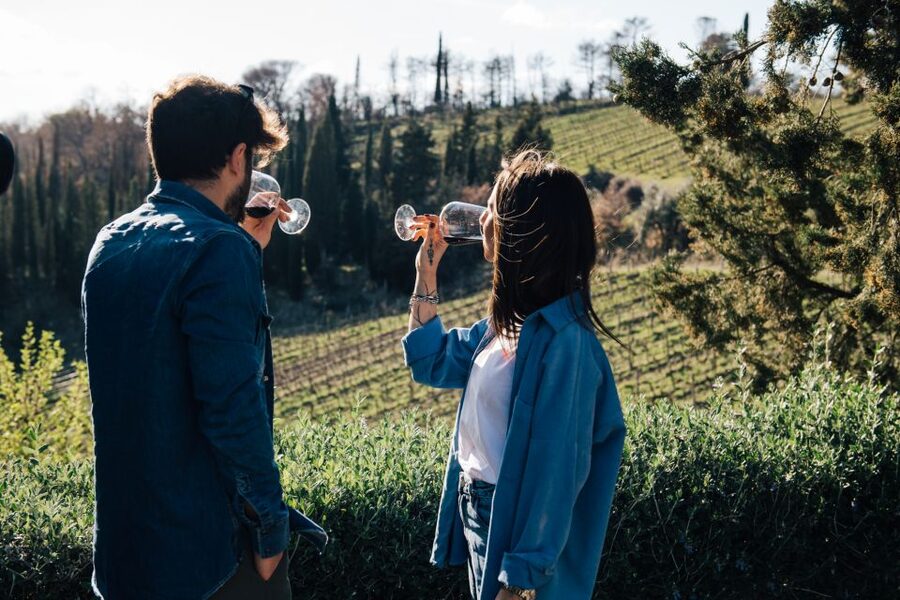 From Florence: Chianti Hills Half-Day Tour with Wine Tasting - Meeting at Santa Maria Novella