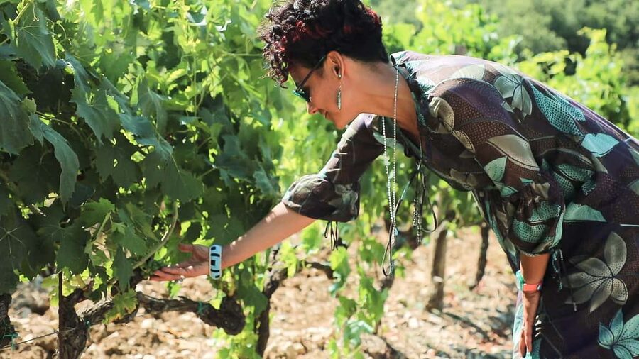From Florence: Chianti Tour with Two Wine and Food Tastings - What the wine tasting is really like