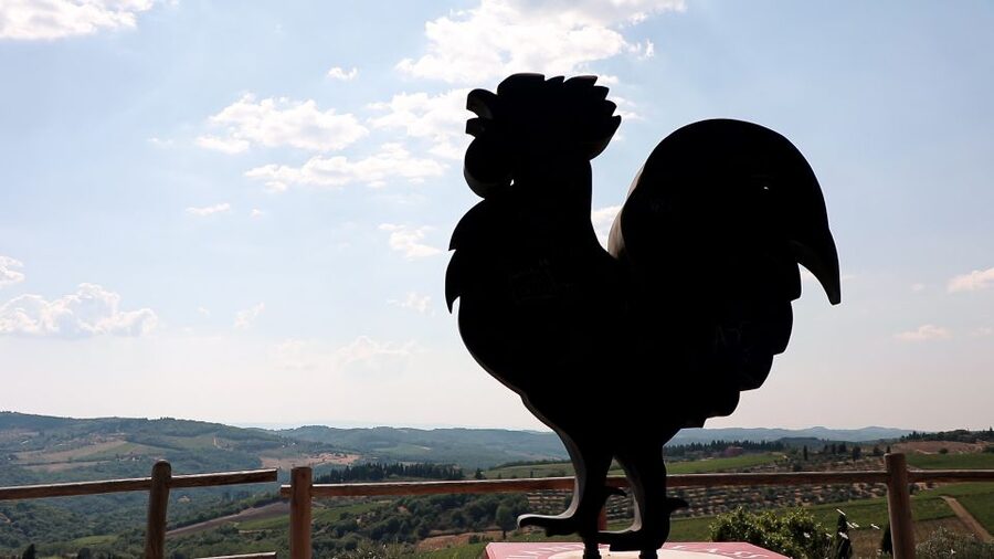 From Florence: Chianti Tour with Two Wine and Food Tastings - The coach, guide, and pace
