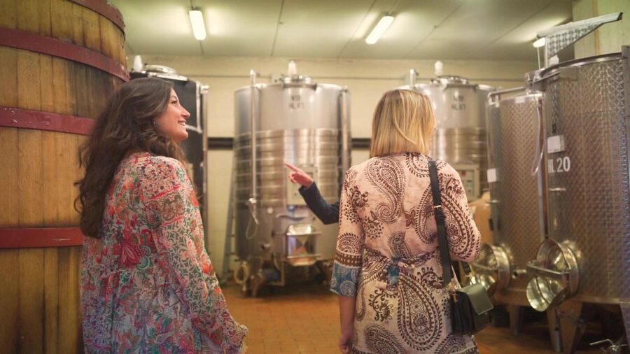 From Florence: Chianti Tour with Two Wine and Food Tastings - Who should book this Chianti tour?