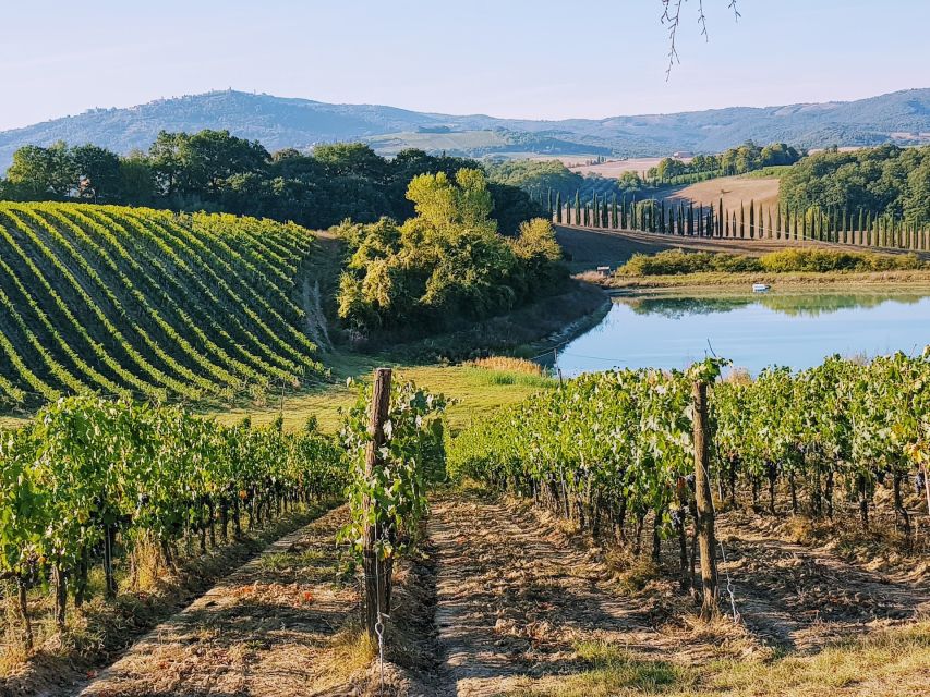 From Florence: Chianti Wine Tastings at Sunset Day Trip - Key points to know before booking