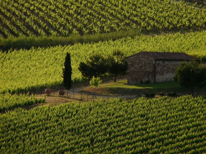 From Florence: Chianti Wine Tastings at Sunset Day Trip - Two family estates, two different wine visits