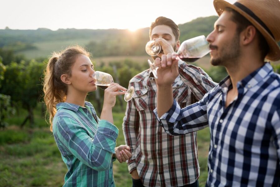 From Florence: Chianti Wine Tour with Tasting - The best guides make a shared tour feel personal