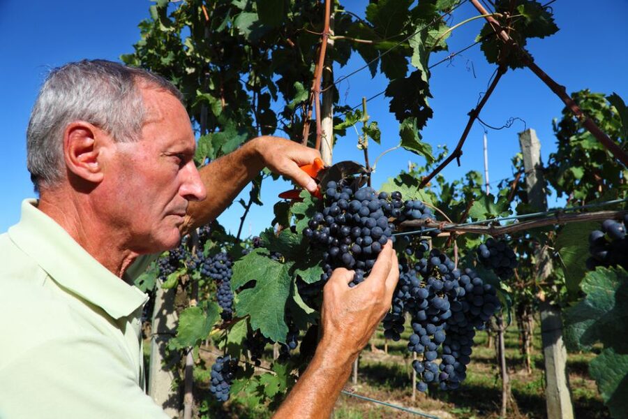 From Florence: Chianti Wine Tour with Tasting - Is $41 a good deal for a Chianti day trip?