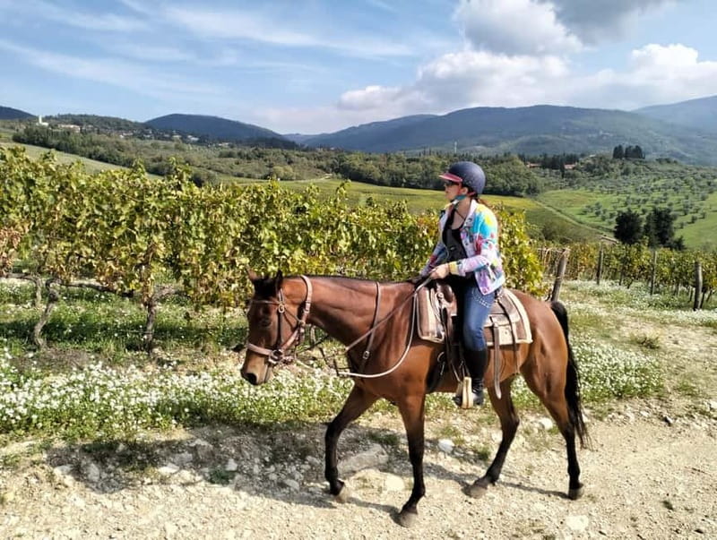 From Florence: Horse Ride and Wine Tour at Estate with Lunch - Key points at a glance