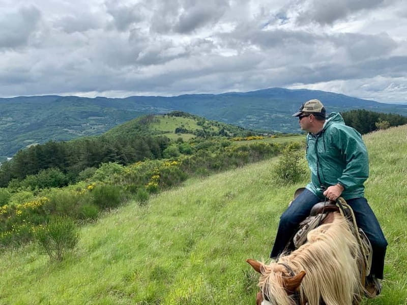 From Florence: Horse Ride and Wine Tour at Estate with Lunch - Should you book it?