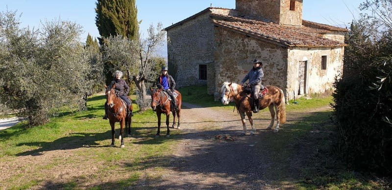 From Florence: Horse Ride and Wine Tour at Estate with Lunch - Practical details before you reserve