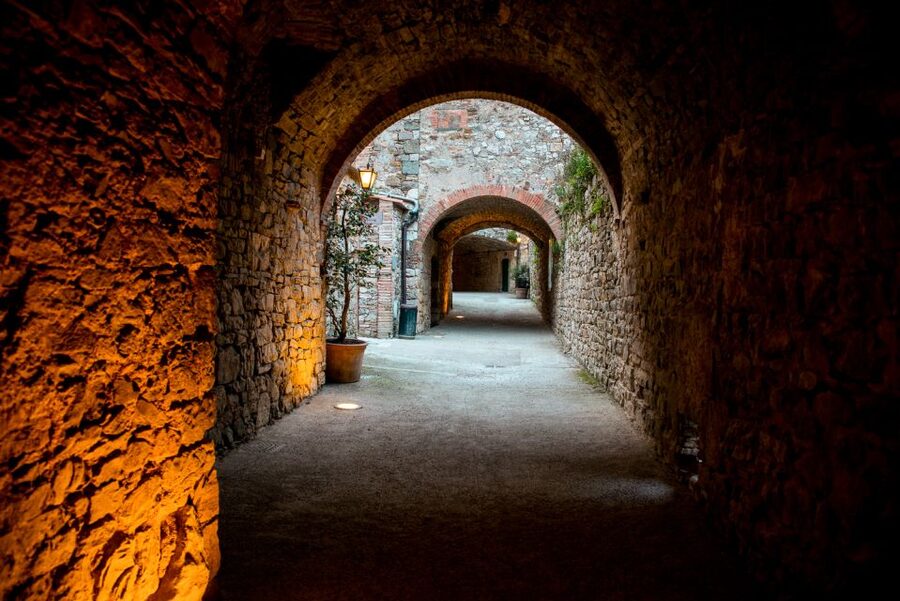From Florence: Private Chianti Hills Tour with Tasting - Guides, languages, and the human side of the outing