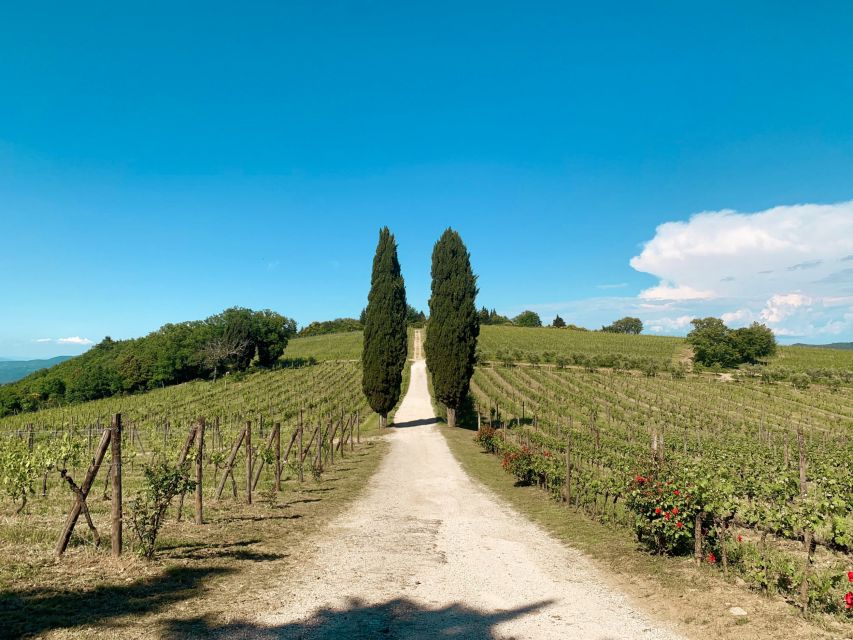 From Florence: Private Chianti Hills Tour with Tasting - Who should book this half-day Chianti outing?