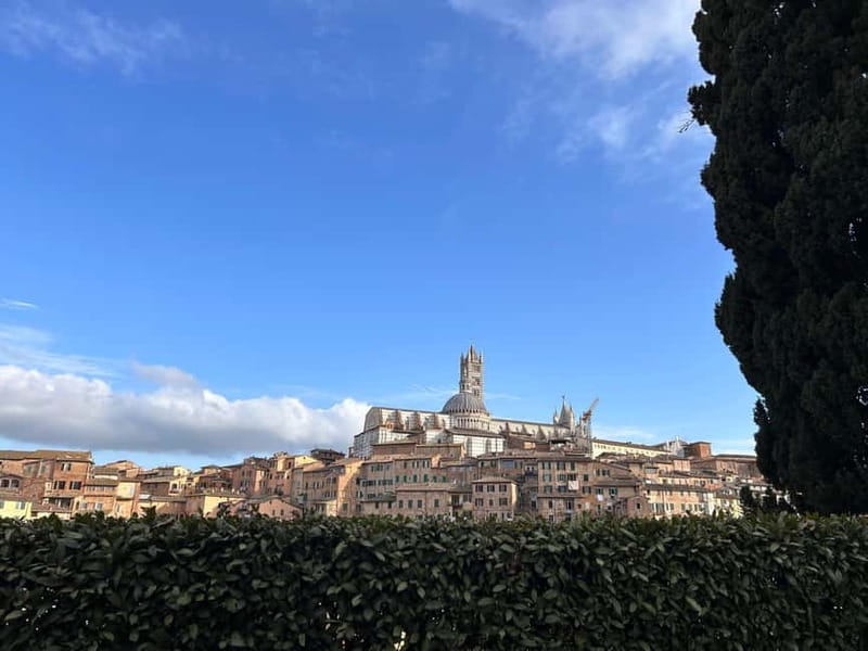 From Florence: San Gimignano, Siena, and Chianti Wine Tour - Five things to know before booking