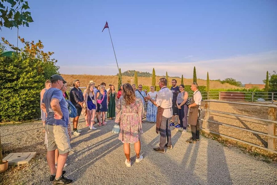 From Florence: Siena and Chianti Wine Tour with Dinner - What $105 includes, and what it does not