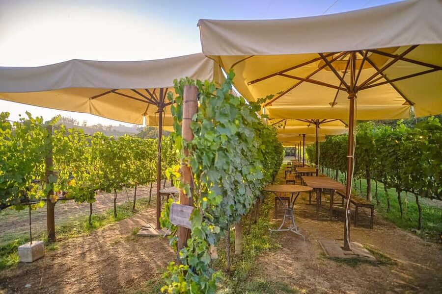 From Florence: Siena and Chianti Wine Tour with Dinner - Who will enjoy this day most