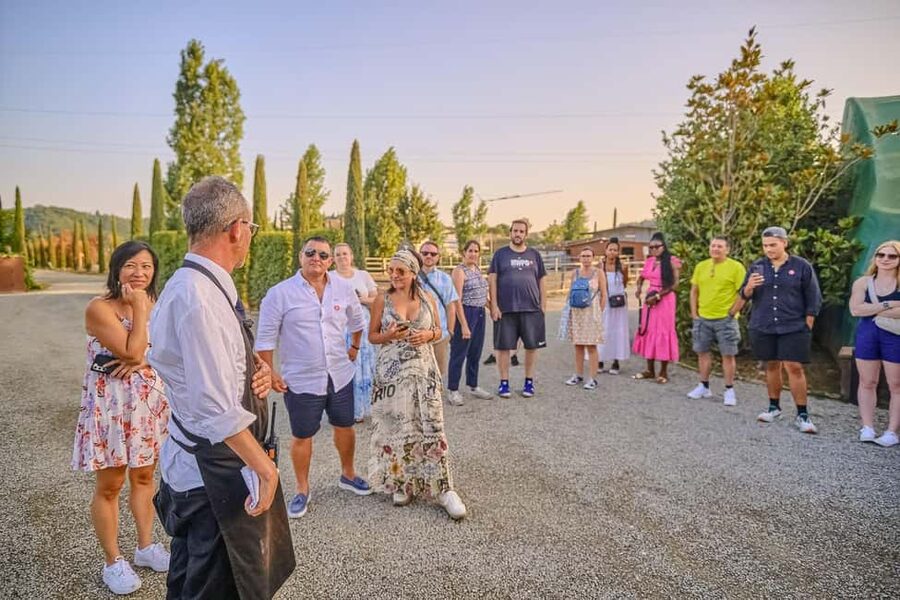 From Florence: Siena and Chianti Wine Tour with Dinner - Small details that make the day smoother