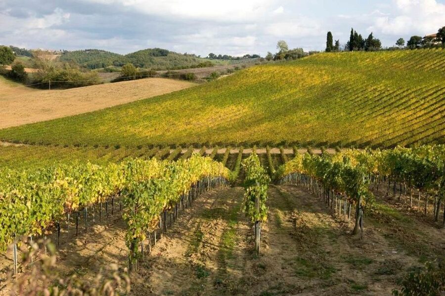 From Florence: Siena & San Gimignano Tour with Wine & Lunch - Who should book this tour?