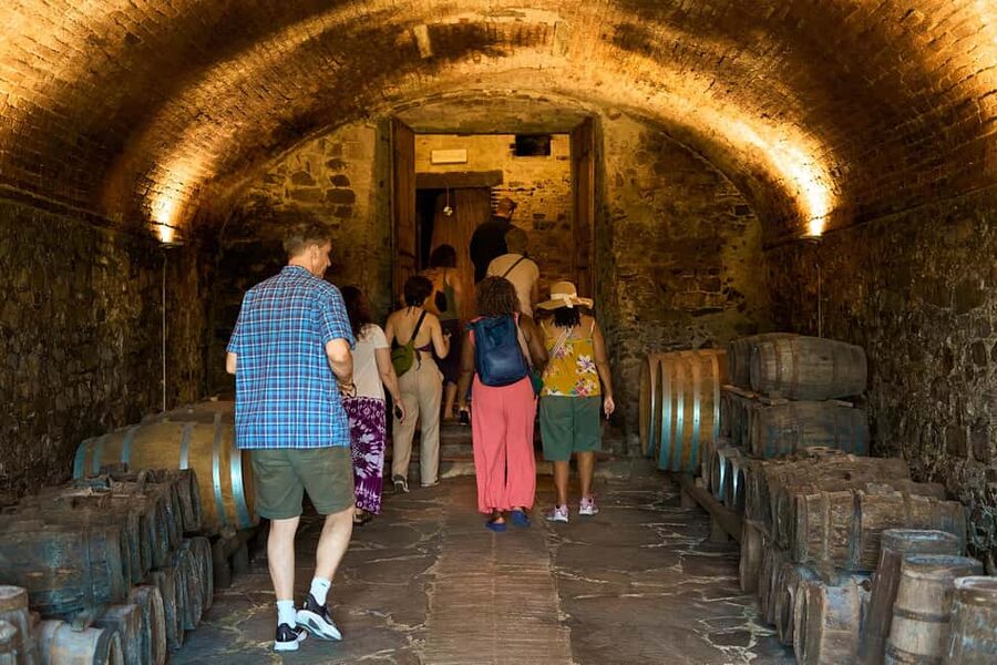 From Florence: Small Group Chianti Wine Tour with Lunch - Key points at a glance
