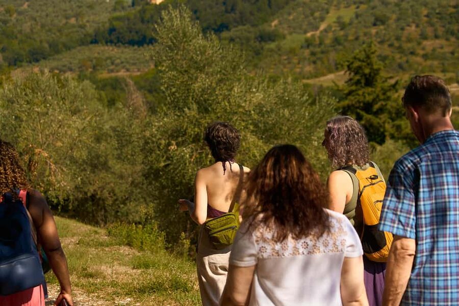 From Florence: Small Group Chianti Wine Tour with Lunch - Chianti and Chianti Classico explained