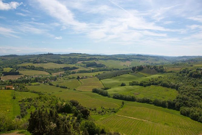 From Florence: Small-Group Tuscany Wine & Oil Tour with typical Tuscan Meal - The return ride to Florence