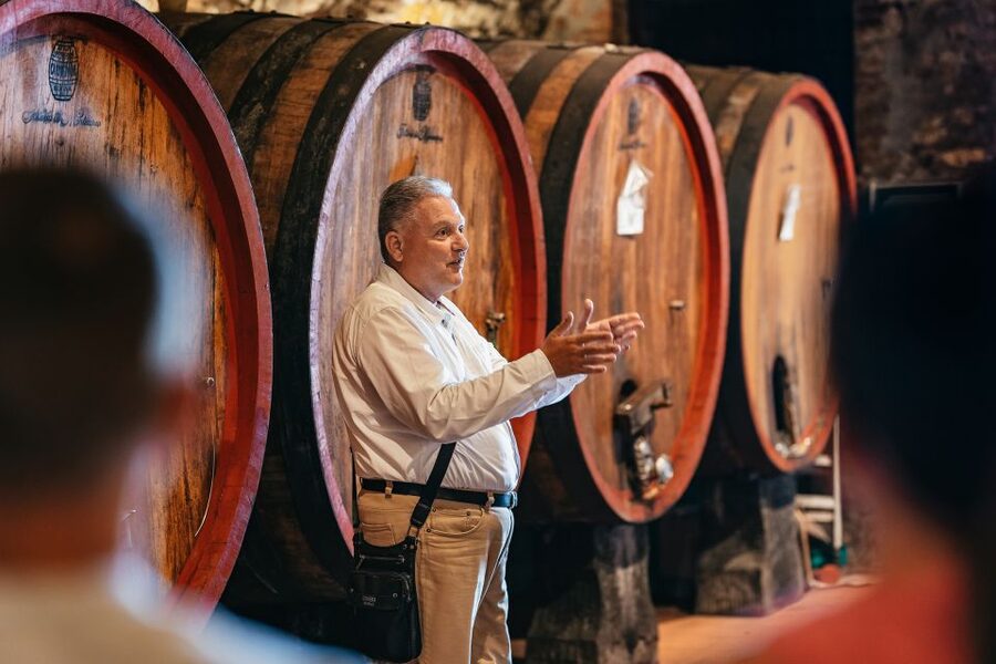 From Florence: Small Group Wine Tasting Tour to Tuscany - Food, wine, and how much you actually taste