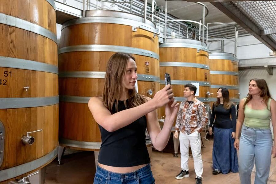 From Florence: Tuscany, Siena, San Gimignano & Winery Lunch - Guides, drivers, and group style