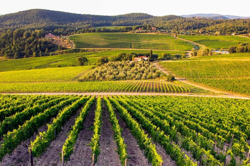 From Florence: Tuscany Wine & Food Tour with Guide - Greve in Chianti: a short village pause