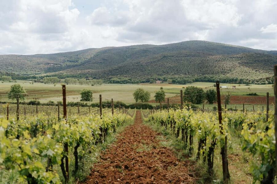 From Florence: Ultimate Tuscany Day Trip with Wine & Lunch - A family winery lunch in Chianti