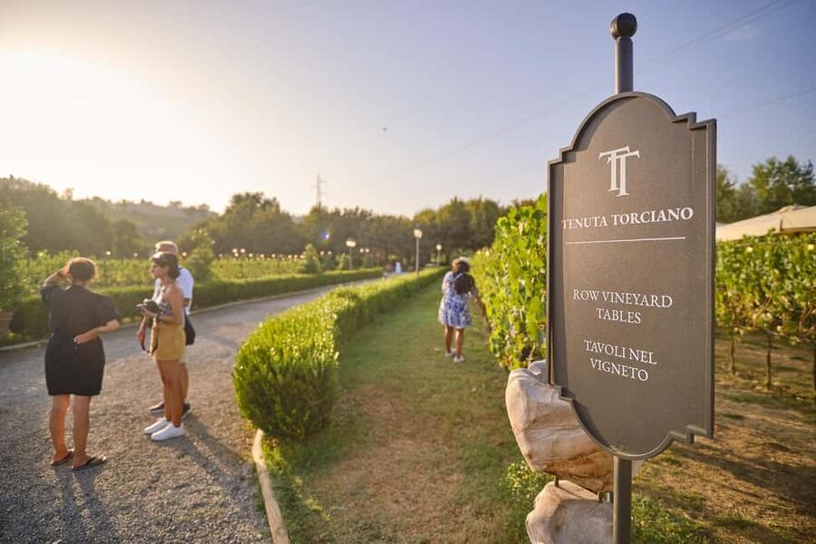 From Florence: Wine Tasting and Dinner in Chianti Vineyards - The first estate explains Chianti from vineyard to cellar