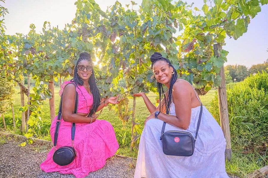From Florence: Wine Tasting and Dinner in Chianti Vineyards - Meeting point and booking advice