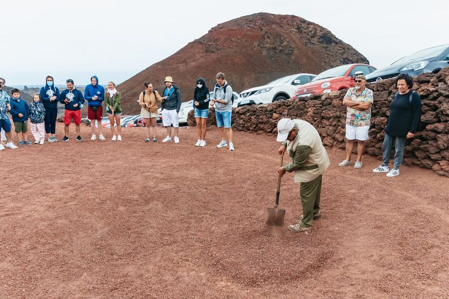 From Fuerteventura: Lanzarote Trip with Wine Tasting & Lunch - What the $164 price really covers